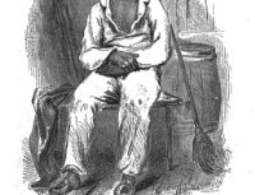 Historias, retratos, miradas: Twelve Years a Slave (2)